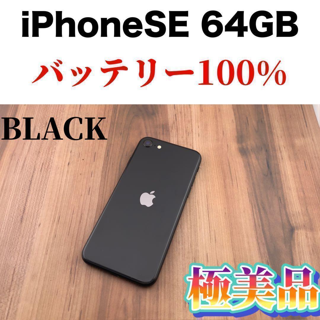 48iPhone SE 第2世代(SE2)ブラック 64GB SIMフリー本体