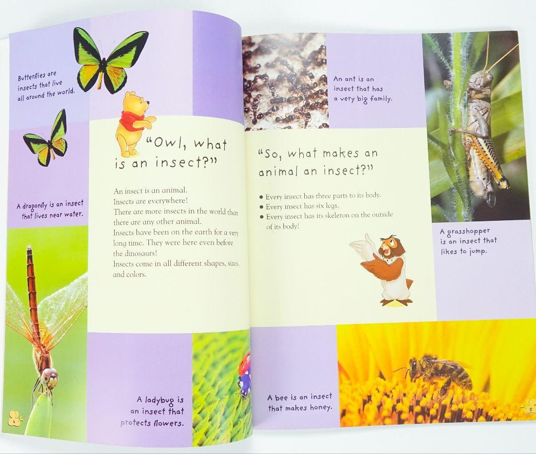 新品同様　全12冊　ディズニー英語 DWE ディズニー英語システム 最新版 Sing Along! 12 Blu-ray 本