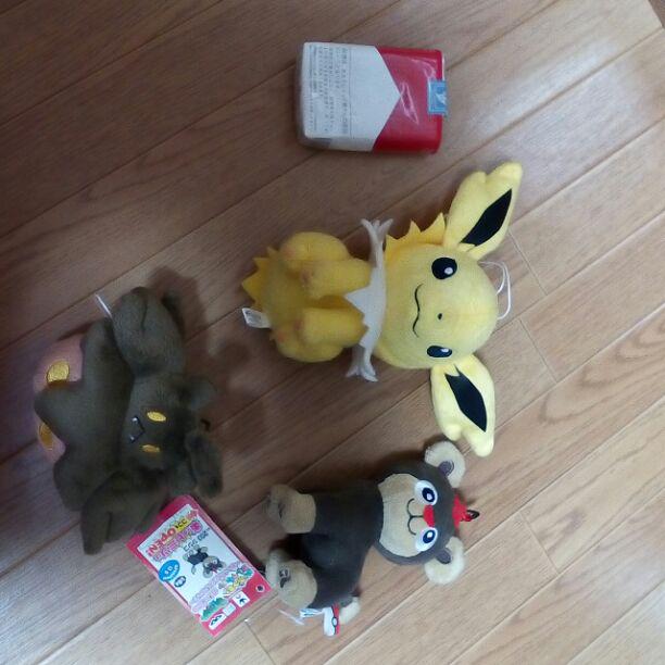 ポケモンぬいぐるみ3体 サンダース シシコ バケッチャ メルカリ