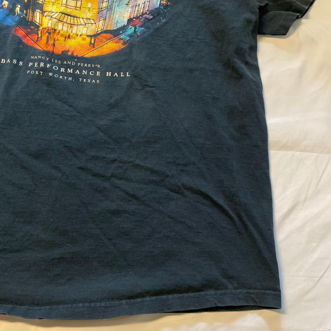 国内外の人気 USA製 90年代 アンビル 音楽 絵画 Tシャツ ホール アート 美術館 トップス