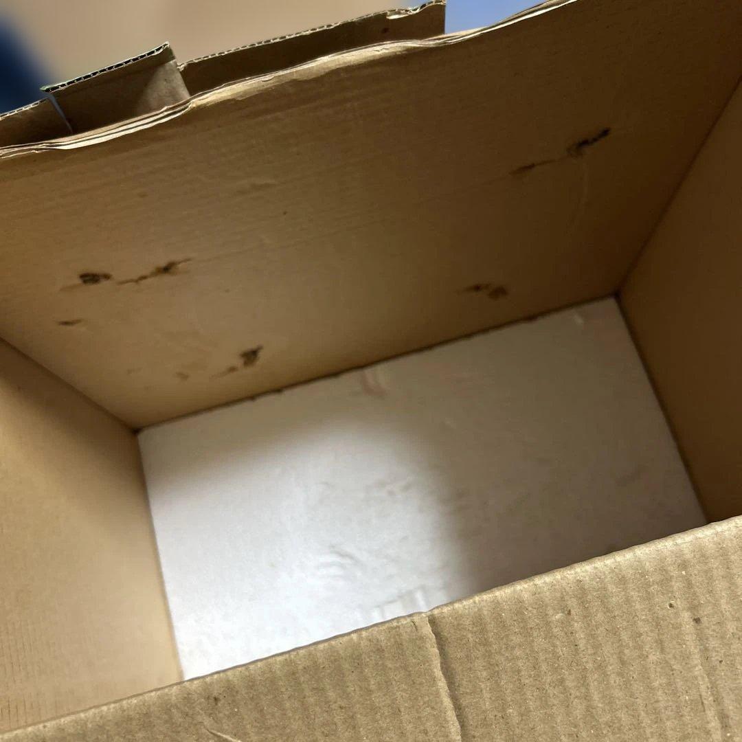 クリスマスリース ぬいぐるみ