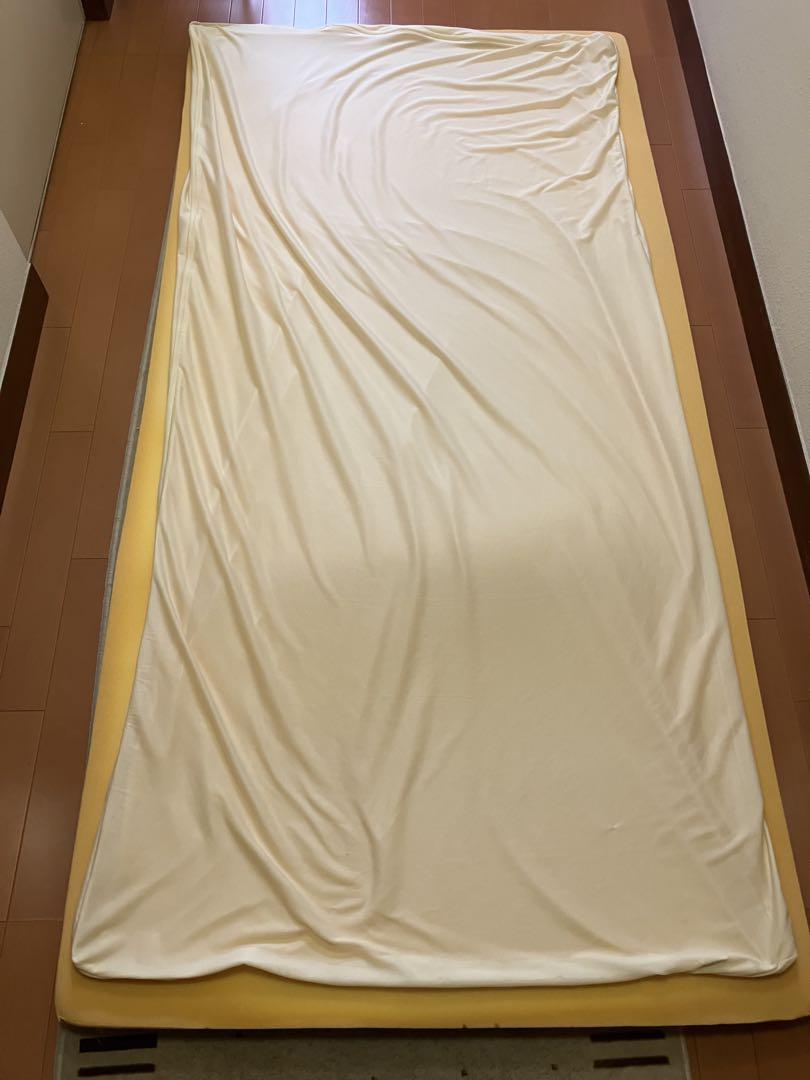 トゥルースリーパー プレミアム シングル 専用内カバー付 説明書付 中古品