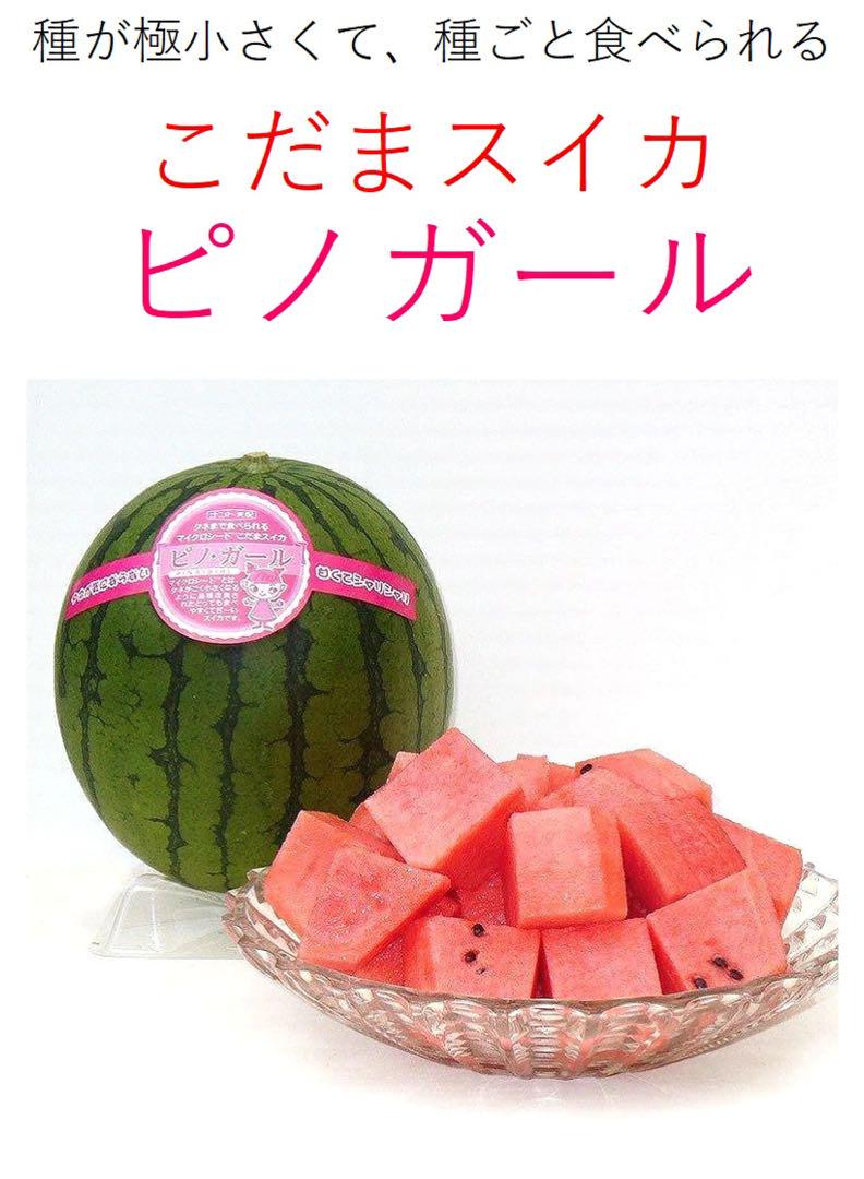 熊本県産　ピノガール　4玉入り