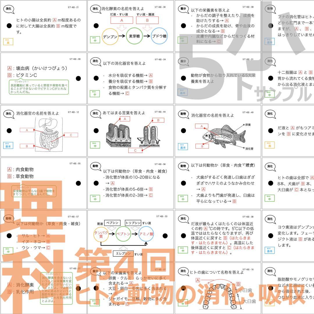中学受験【5年下 全セット 社会・理科1-18回】 暗記カード 予シリ 組み分け