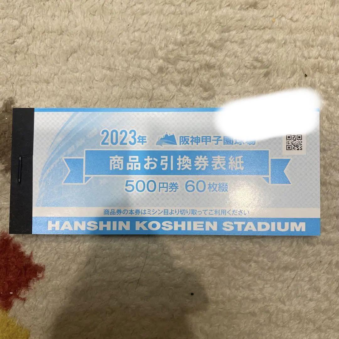 チケット阪神タイガース  2023 阪神甲子園球場 商品お引換券 30000円分