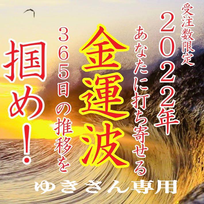 ゆき 様専用 2点ご購入【1月28日 ご購入】 - marketingagricola.pt セールまとめ ゆき 様専用【2点 ご購入】 その他