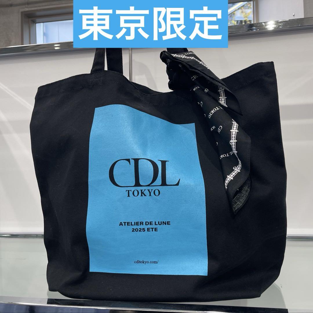 CDL TOKYO トラベルバッグ＊トートバッグ＊新品未使用＊ØMI 新品！未使用✨CDL TOKYO トラベルトートバッグ CDL登坂広臣 ØMI