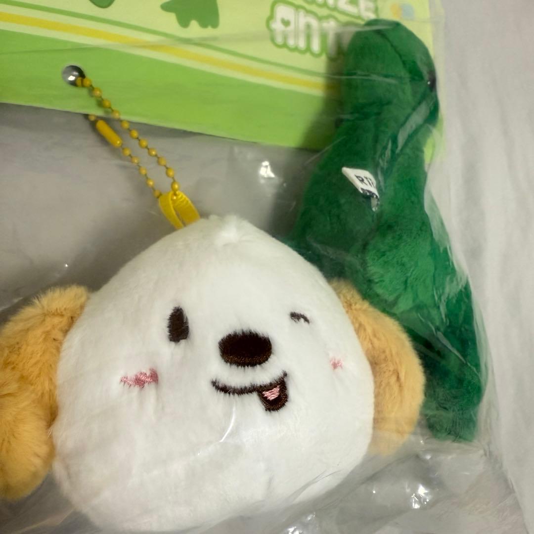 RIIZE 中国上海ポップアップ限定 アントン セット - メルカリ