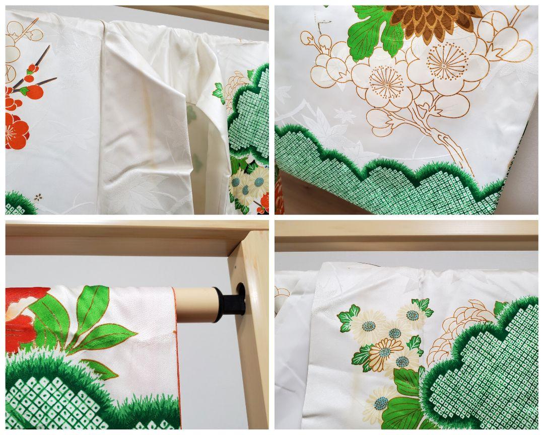 牡丹 乱菊