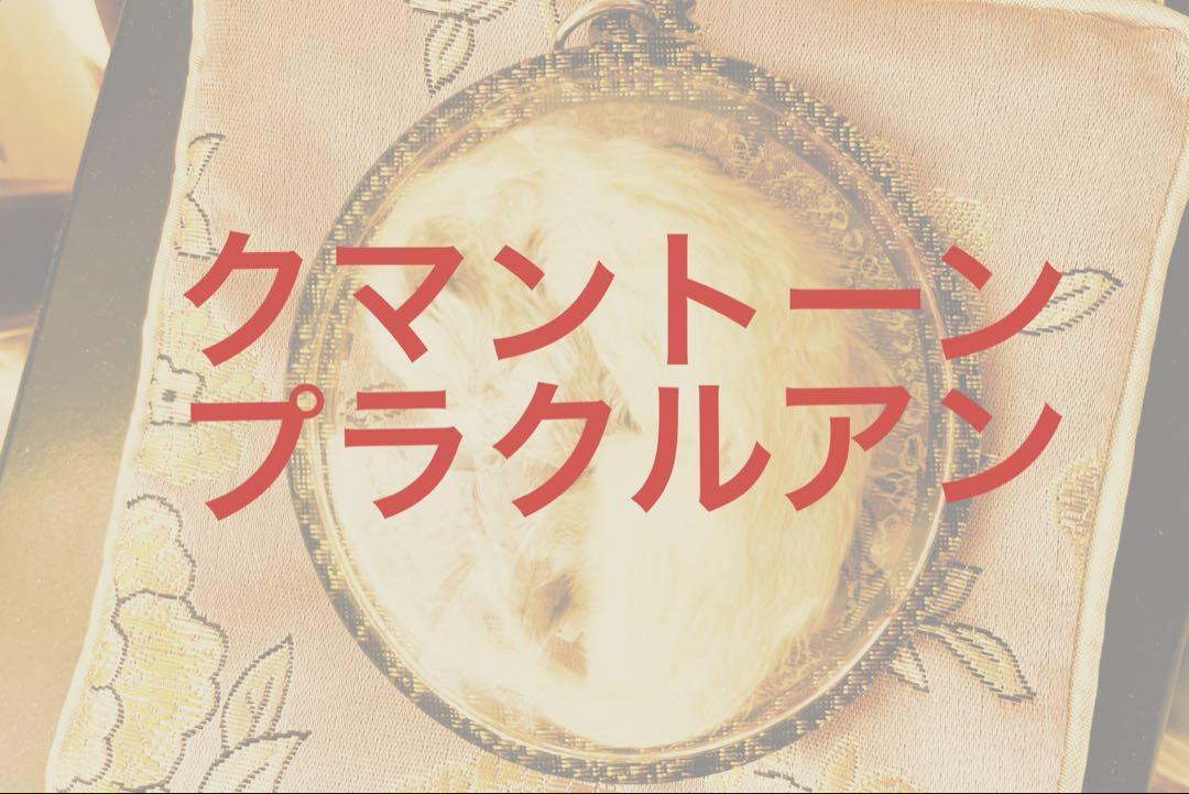 プラクルアン　タイ