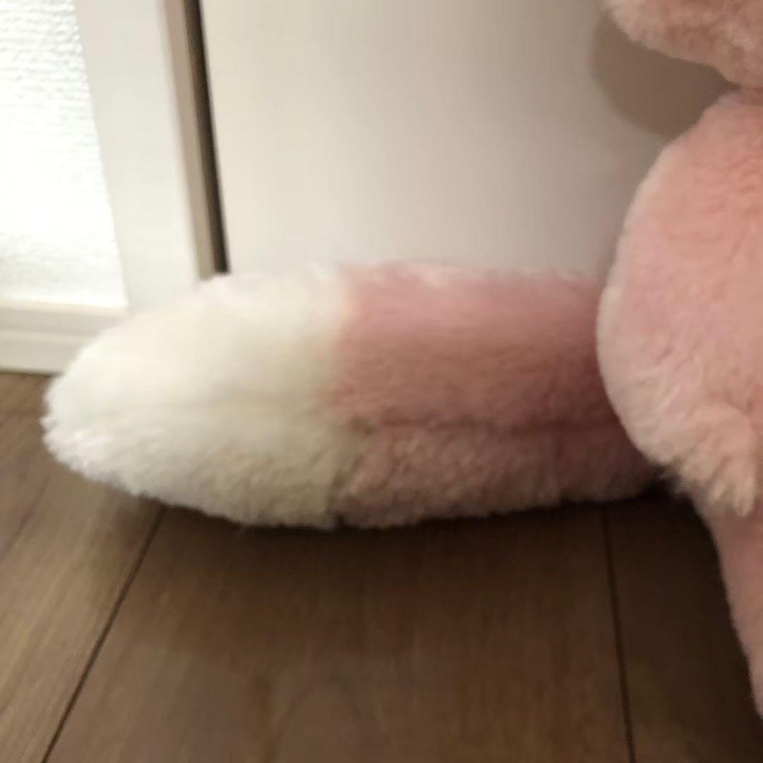新品未使用　東京ディズニーリゾート　リーナベル　ぬいぐるみ　Sサイズ