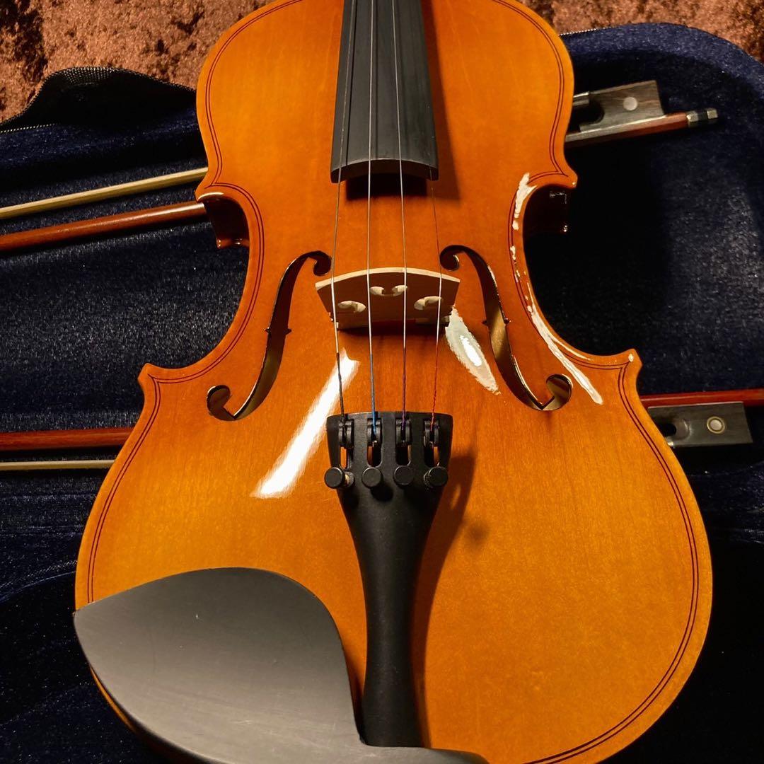 【超ポイント祭?期間限定】 希少 定価22 C2-C7サウンドホール5 36弦 送料込】ブシュラハープ 弦楽器