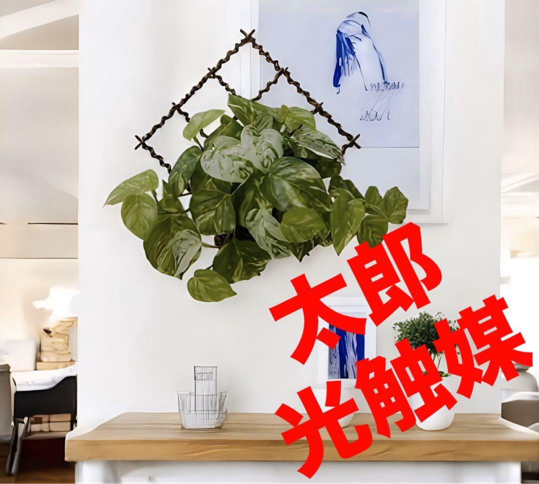 光触媒　人工観葉植物　ウォールグリーン　フェイクグリーン　壁掛けフレッシュポトス人工観葉・フェイクグリーン