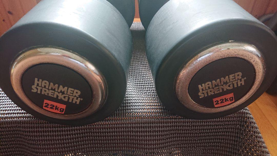 高速配送 ハンマーストレングス ダンベル 22kg ペア その他 高速配送 ハンマーストレングス ダンベル 22kg ペア その他