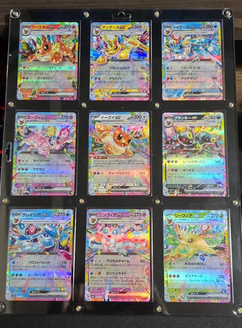 テラスタルフェスex ブイズ10枚セット テラスタルフェス ブイズex セット 額縁 おまけ付き