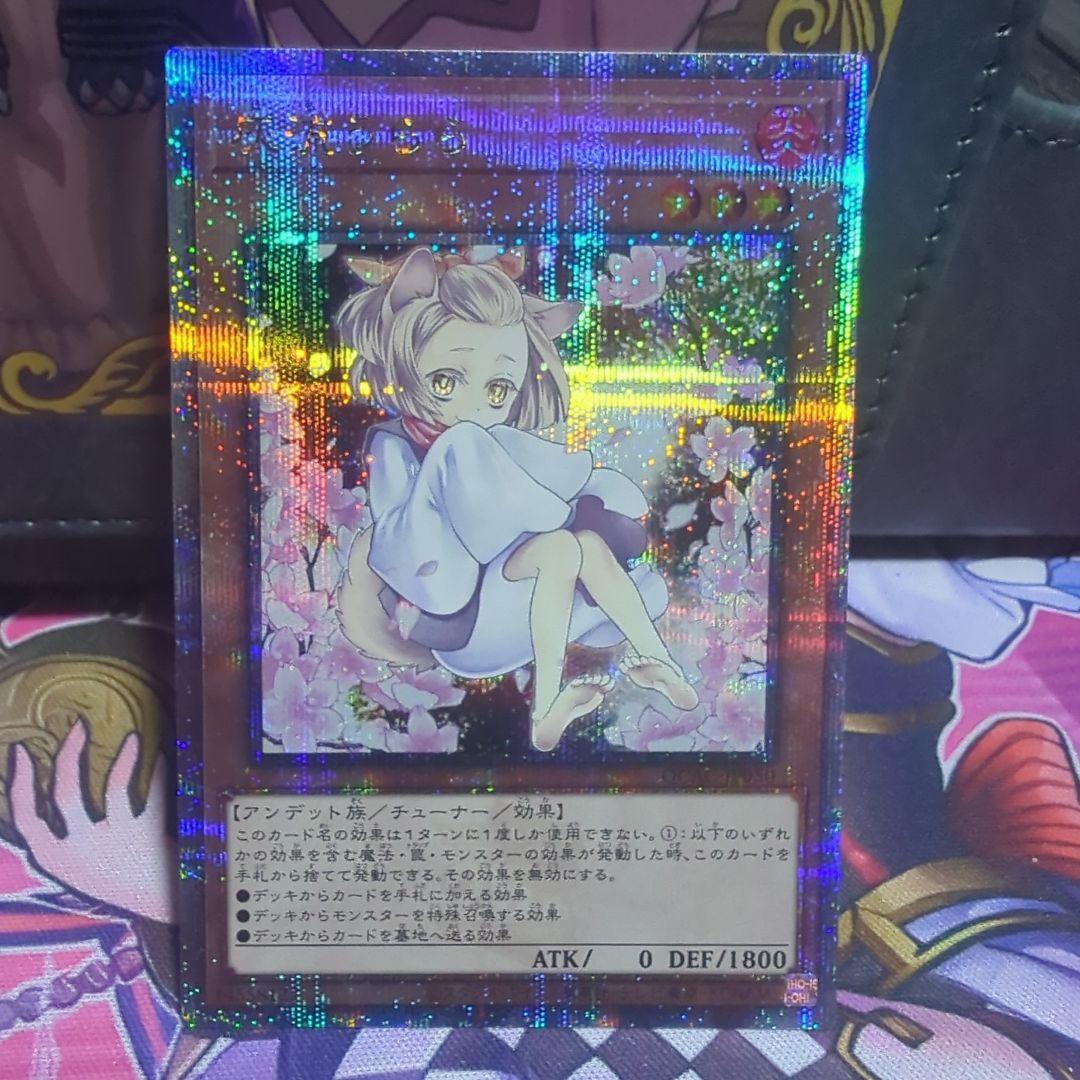 遊戯王 灰流うらら 25th クオシク シークレット 絵違い