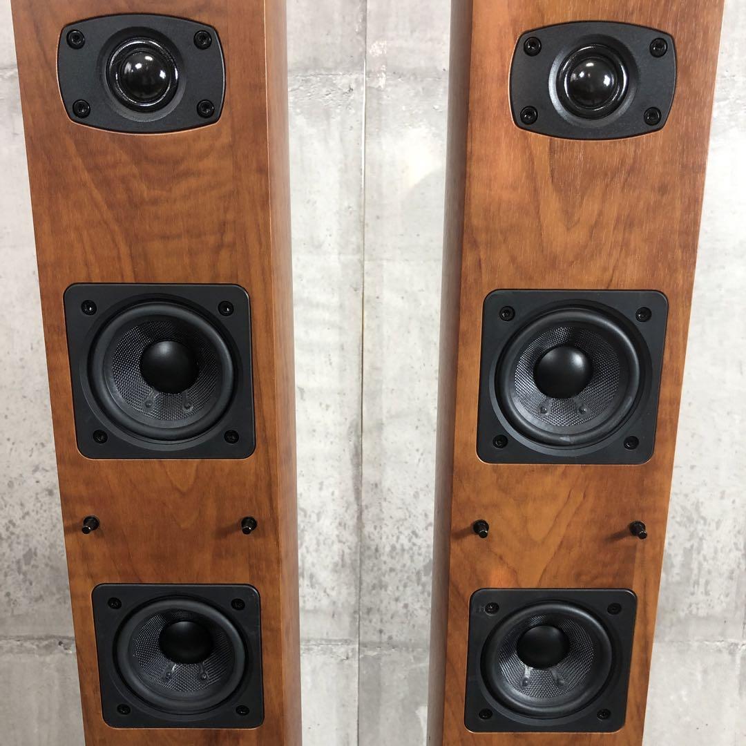 Pioneer