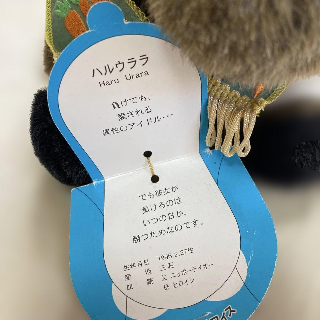 ハルウララ　エムエイオフィス　ぬいぐるみ　30㎝ ハルウララ エムエイオフィス ぬいぐるみ 30㎝ - メルカリ