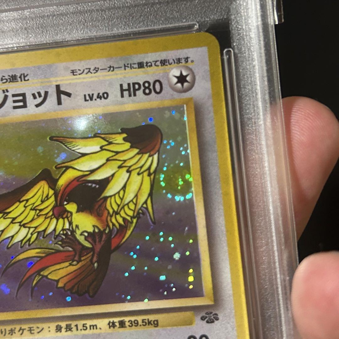 ポケモン ピジョット 旧裏 PSA10 ポケモンジャングル 渦巻きホロ