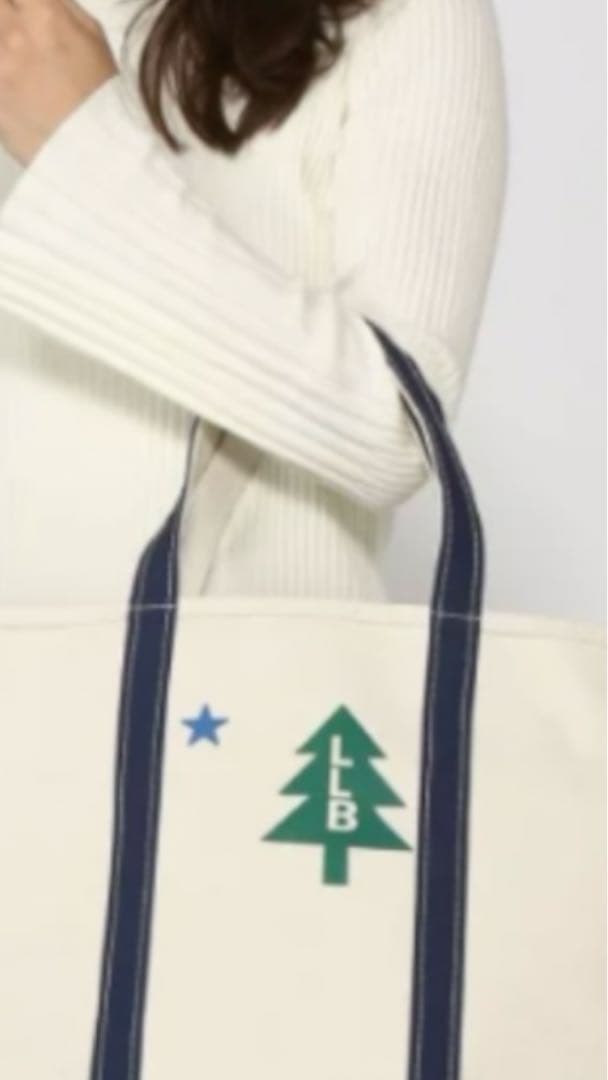 レア新品未使用L.L.Beanトートジップトップラージバケーションランド