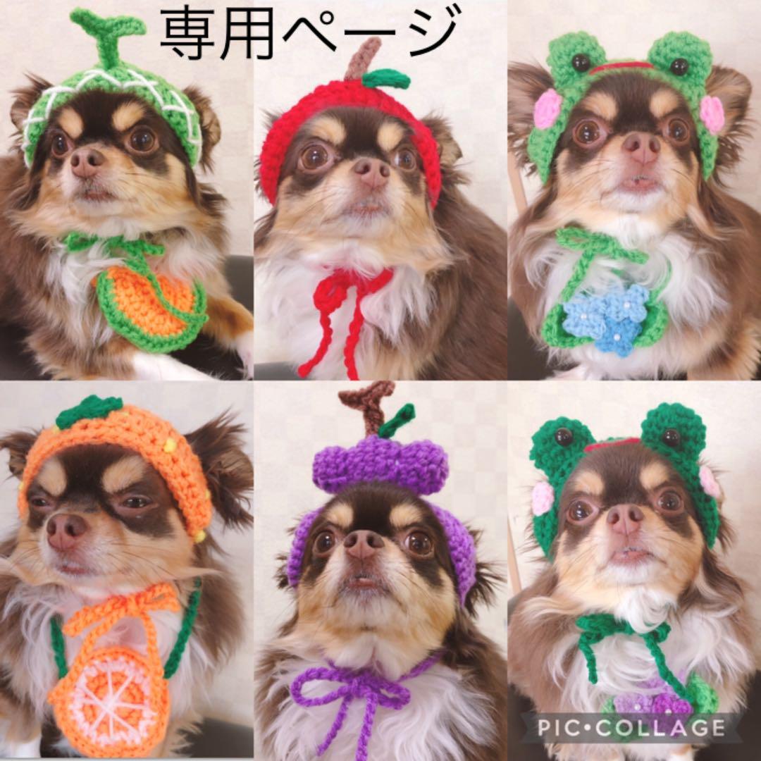 専用ページ♡ 猫用帽子 フルーツにカエルも