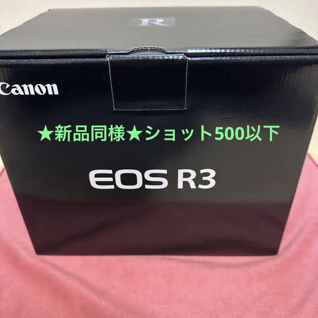 りさせて 極美品 Canon EOS R3 バッテリー
