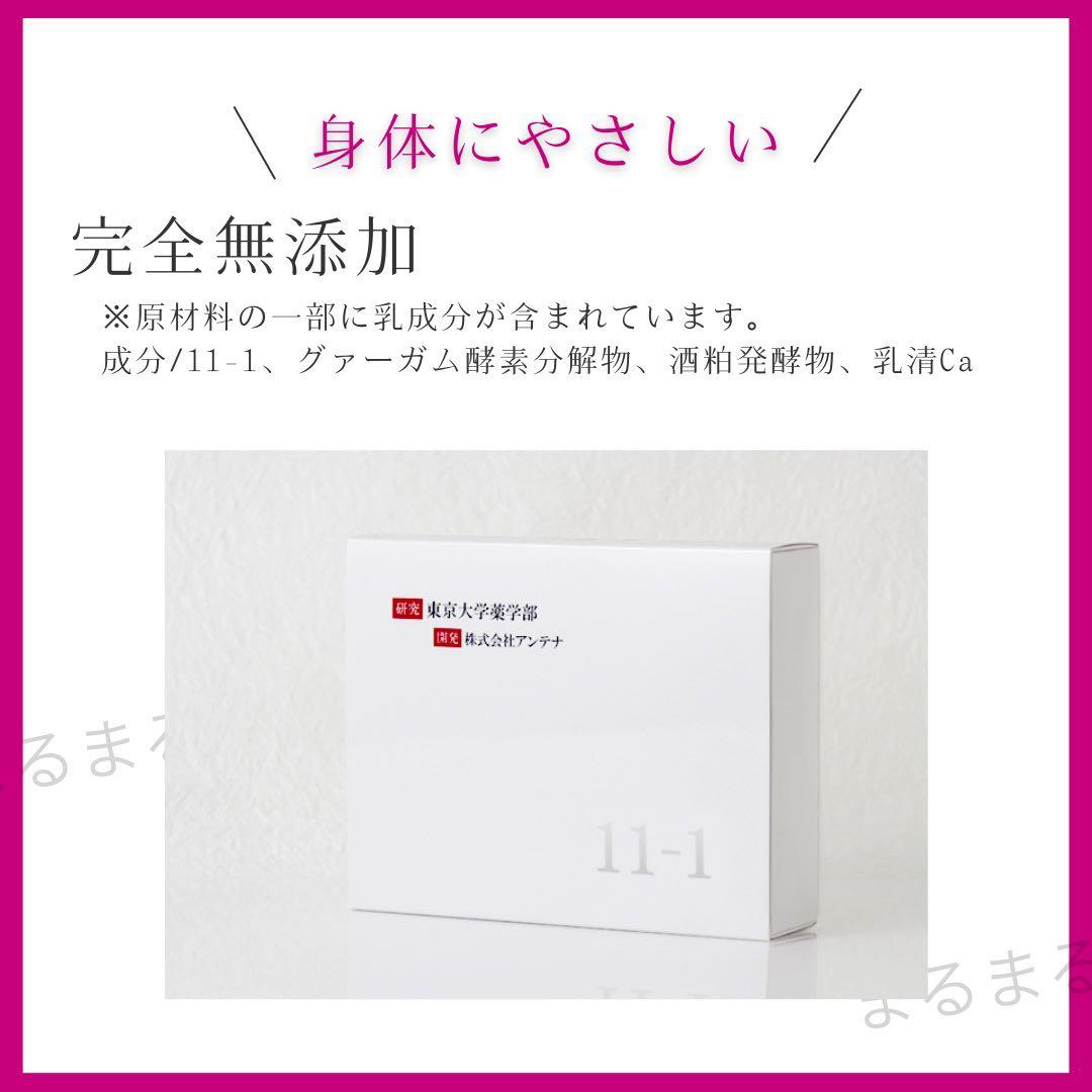 11-1 乳酸菌 いちいちのいち 90包 3箱 新品未開封 正規品