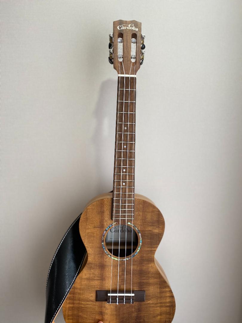 お礼や感謝伝えるプチギフト Cordoba 28T-E ピックアップ付き ウクレレ テナー - 弦楽器 - www.smithsfalls.ca お礼や感謝伝えるプチギフト Cordoba 28T-E ピックアップ付き ウクレレ テナー - 弦楽器 - www.smithsfalls.ca