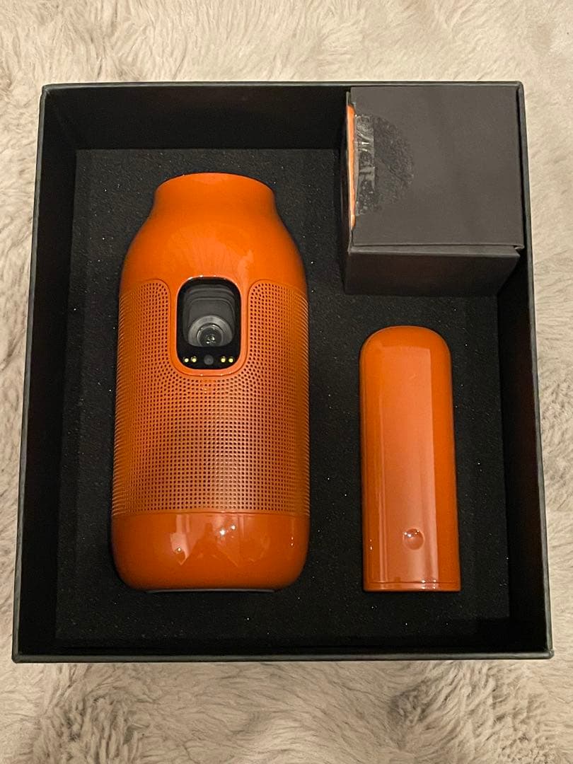 Aladdin VaseアラジンベースpopIn Aladdin