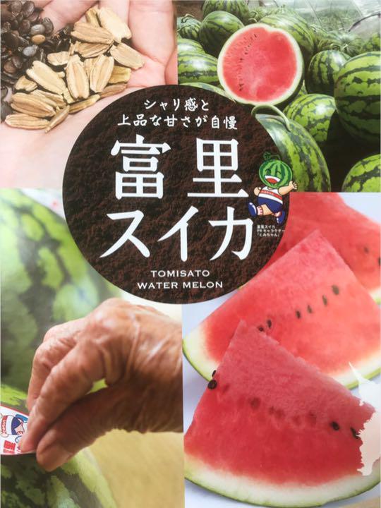 送料込み！富里産　ブラックジャック（種無し黒皮スイカ）Lサイズ　2玉 楽天市場】【県知事賞受賞】黒皮大玉 種無しスイカ 6〜7kg L