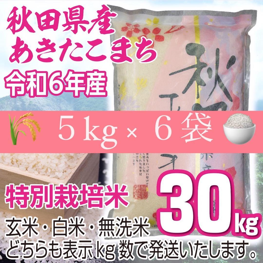 新米 農家直送 秋田県産 令和６年 あきたこまち ３０kg 特別栽培米 秋田小町