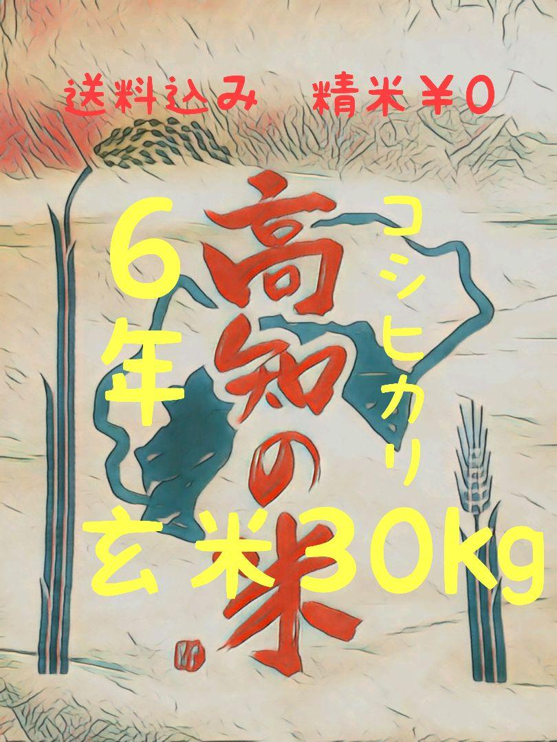 送料込み 令和6年産 高知県産 コシヒカリ 玄30㎏(袋込み)