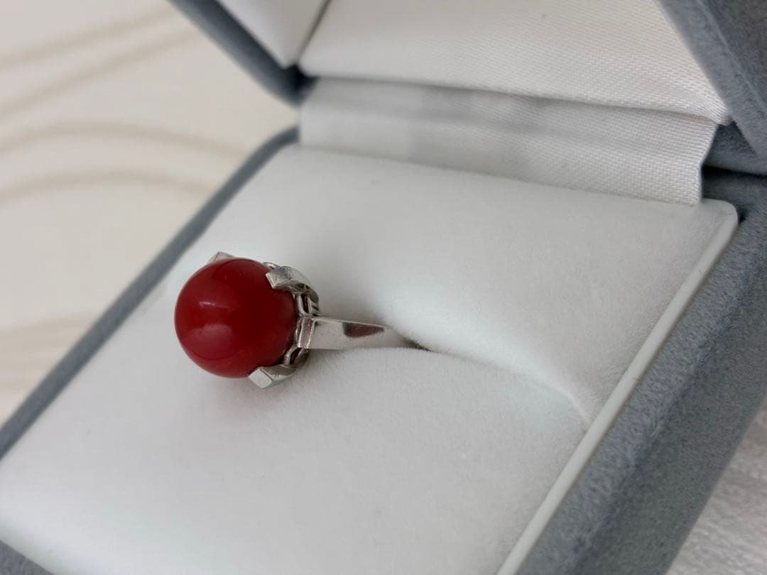 血赤珊瑚プラチナリング目立った傷や汚れなし MERCADOAVALIA_COM_BR