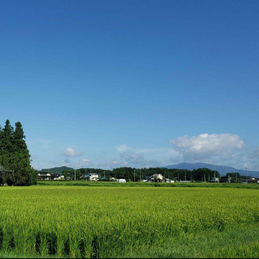【新米・玄米30kg】令和６年岩手県産銀河のしずく