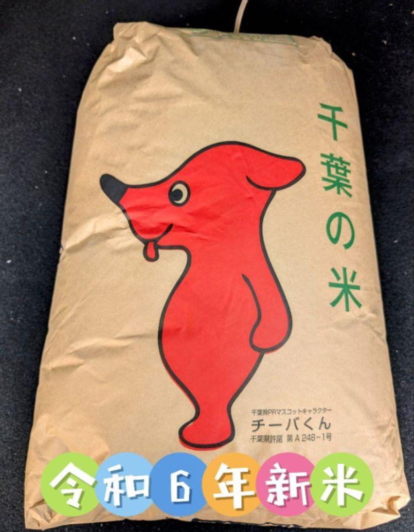千葉県産コシヒカリ令和6年新米10kg【農家直送】