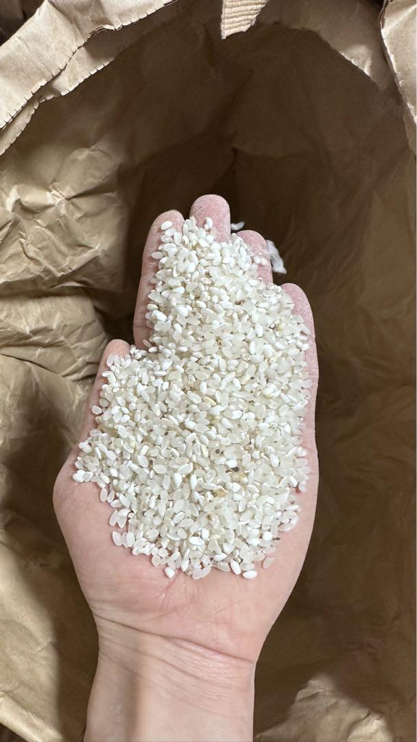 新米 令和6年産 あきたこまち20キロ 精白米