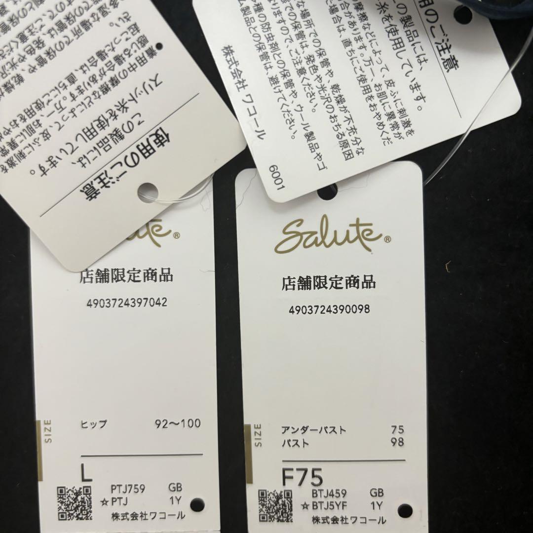 サルート 店舗限定 フォークロア 59G F75&ノーマルL GB