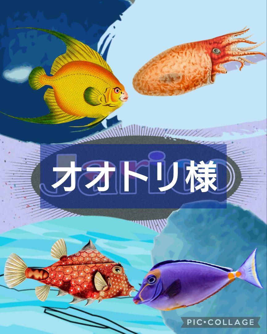 (ё)様　オーダーページ オオトリ様 オーダーページ - メルカリ