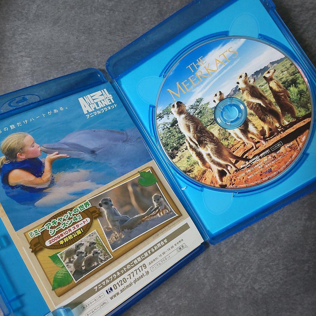 廃盤】ドキュメンタリー映画Blu-ray(セル版)『ミーアキャット