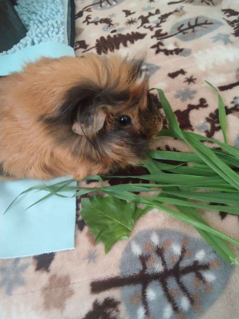 molina★モリーナだよ★ molina★モリーナだよ★