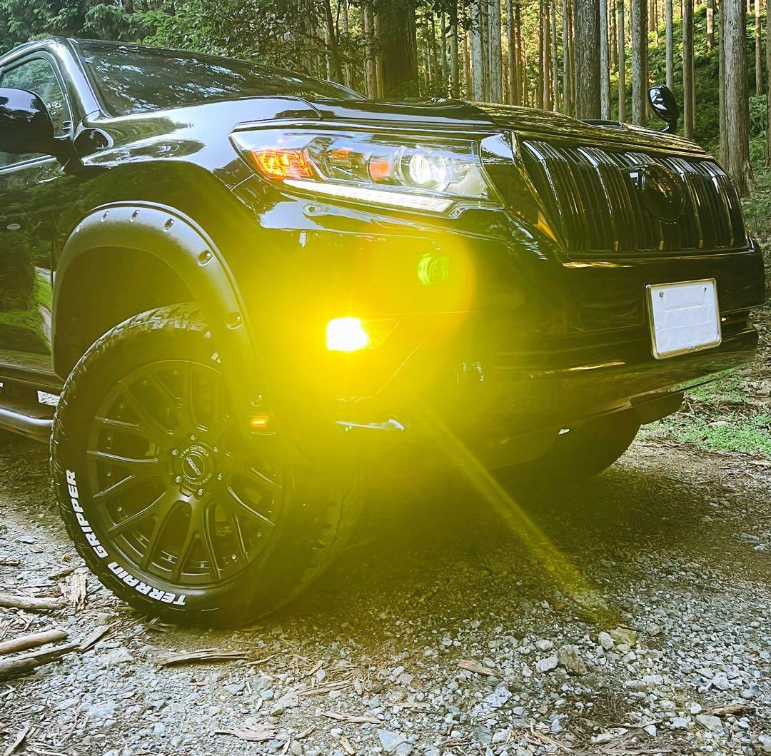 光量世界一ロイヤルガードオメガ LEDフォグ イエロー H8 H11 H16