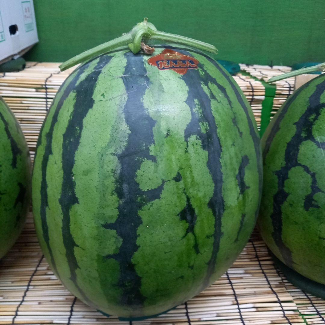すいか　大玉