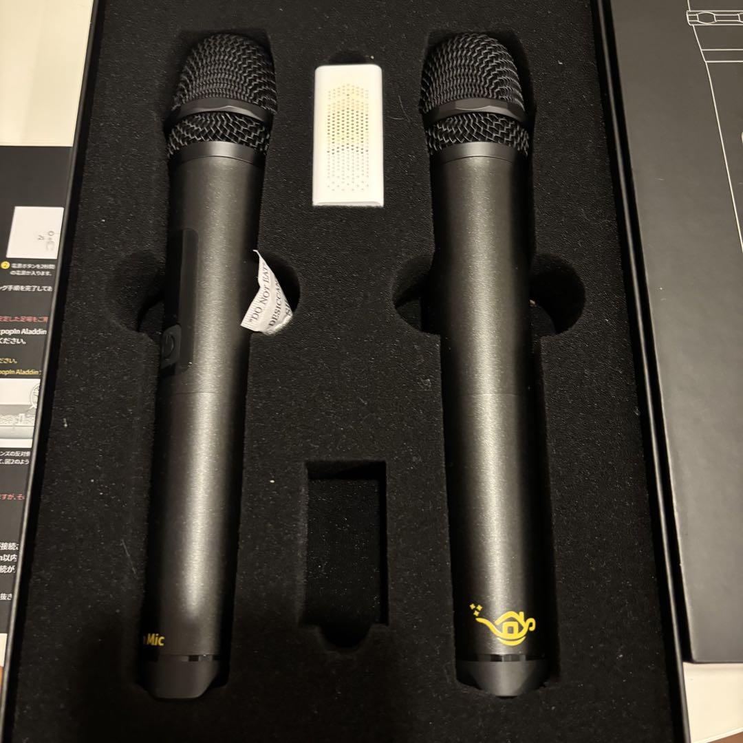 【1回のみ使用】Aladdin Mic ダイナミックマイク 2本セット