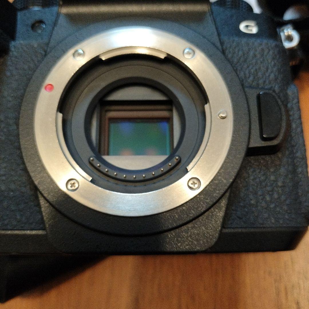 Panasonic LUMIX DC-G99 ミラーレス一眼