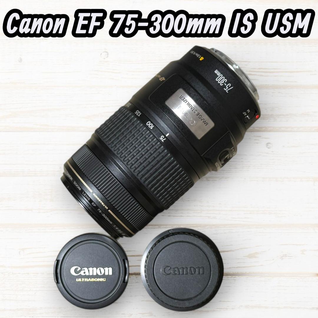 【訳アリ】Canon EF 75-300mm 望遠レンズ キャノン 望遠レンズ/CANON EF 75-300mm