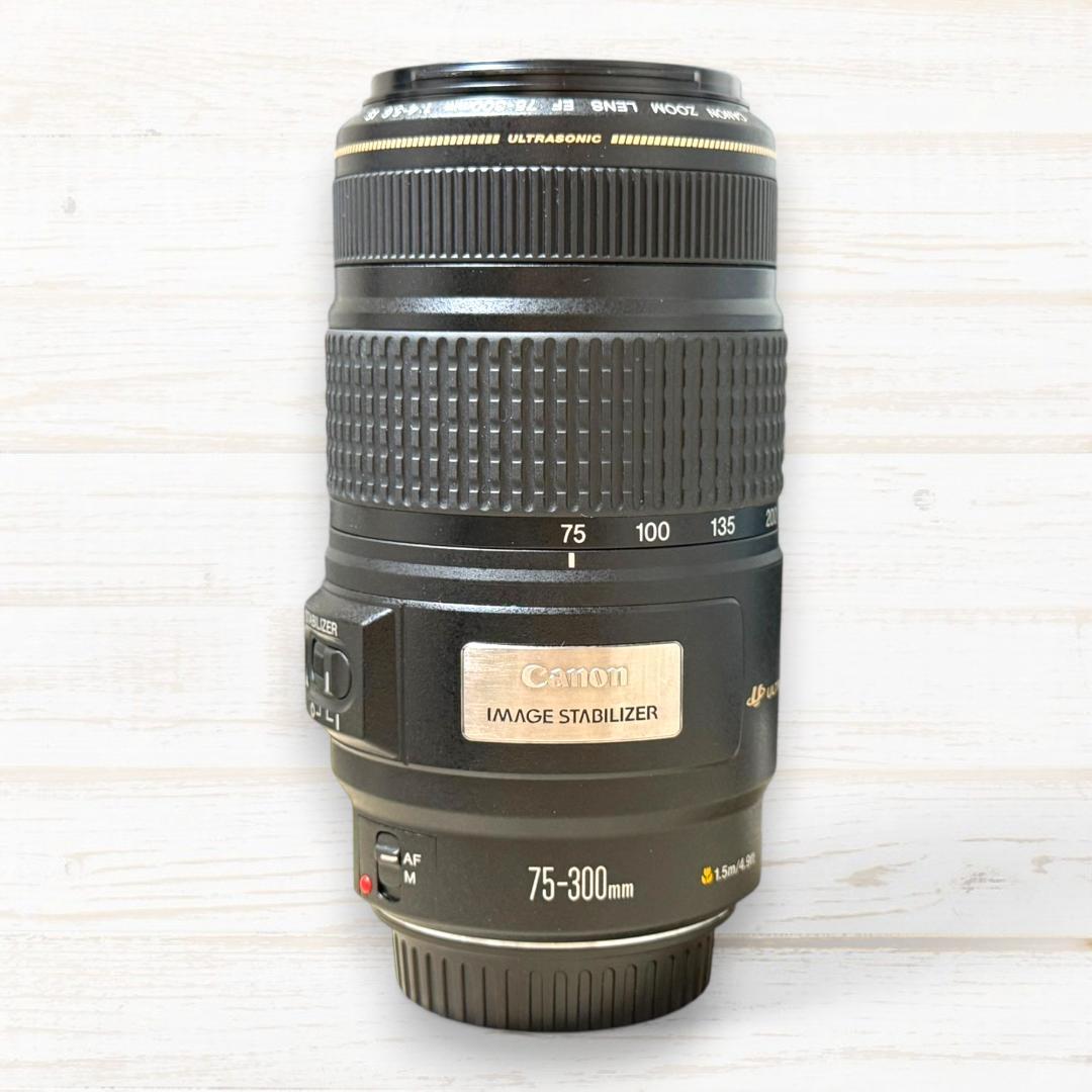 【訳アリ】Canon EF 75-300mm 望遠レンズ キャノン 望遠レンズ/CANON EF 75-300mm