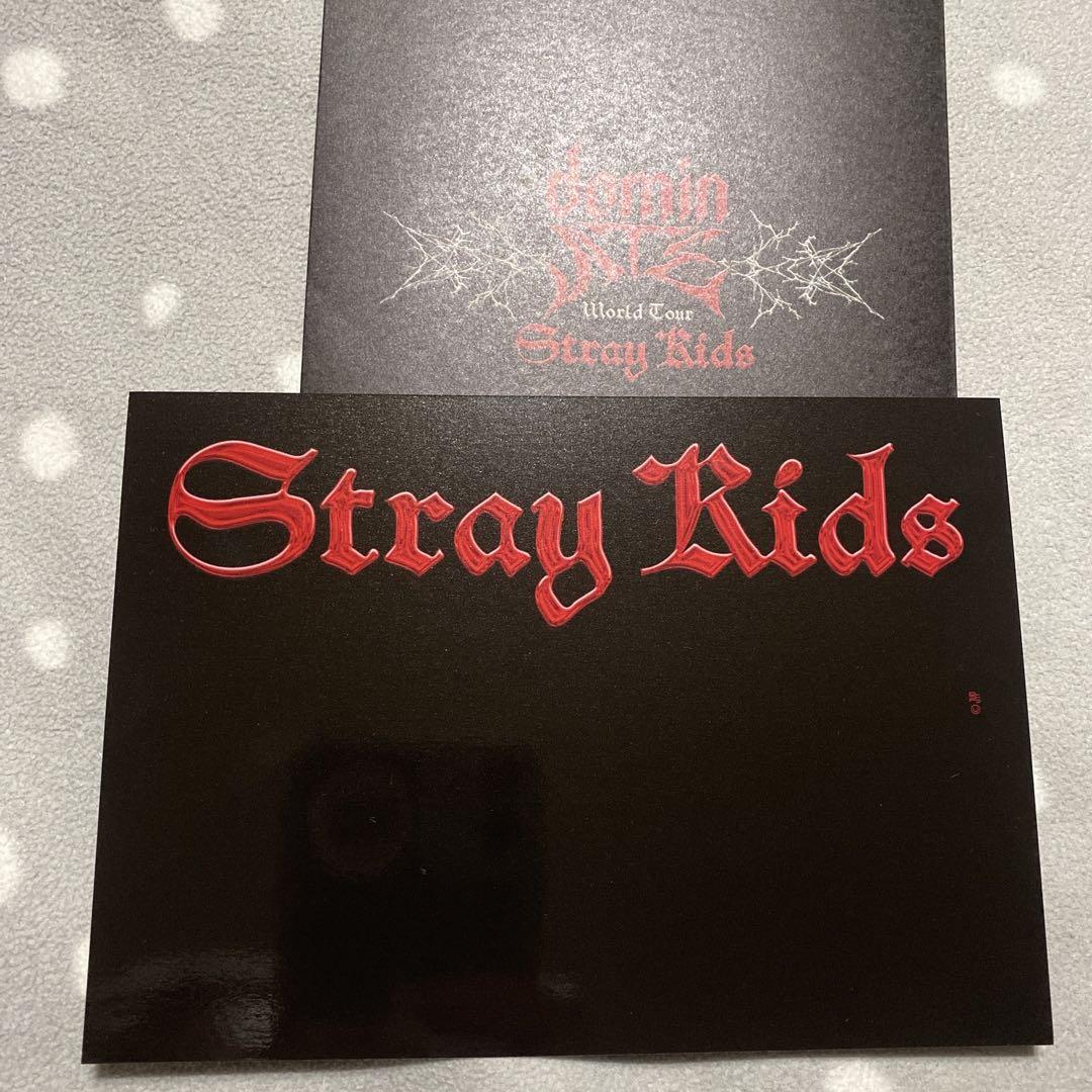 Stray Kids スキズ リノ トレカ　dominATE ラントレ StrayKids スキズ dominATE 特典トレカ MD リノ - メルカリ