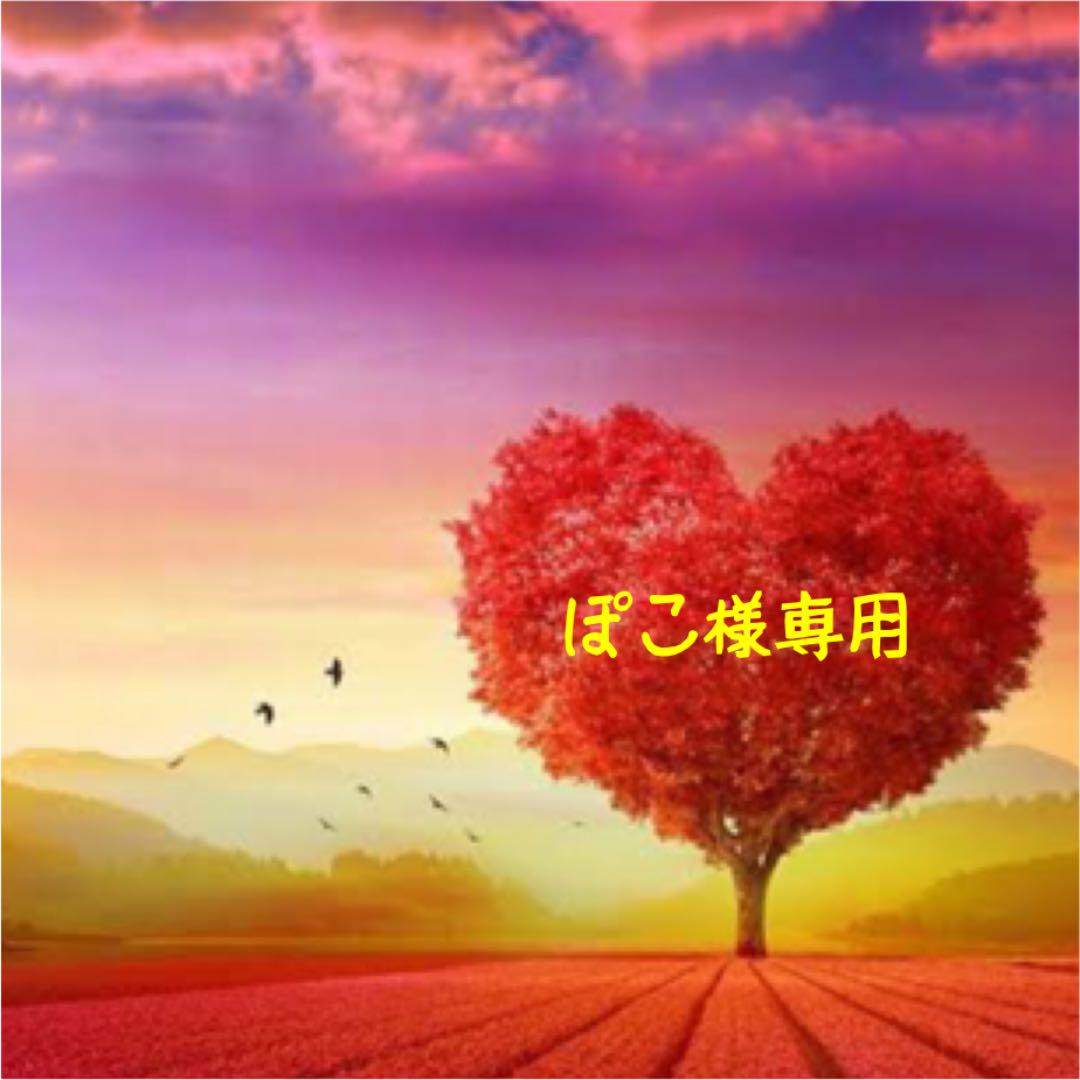 ぽこ様専用 ↓説明読んでください パック付き