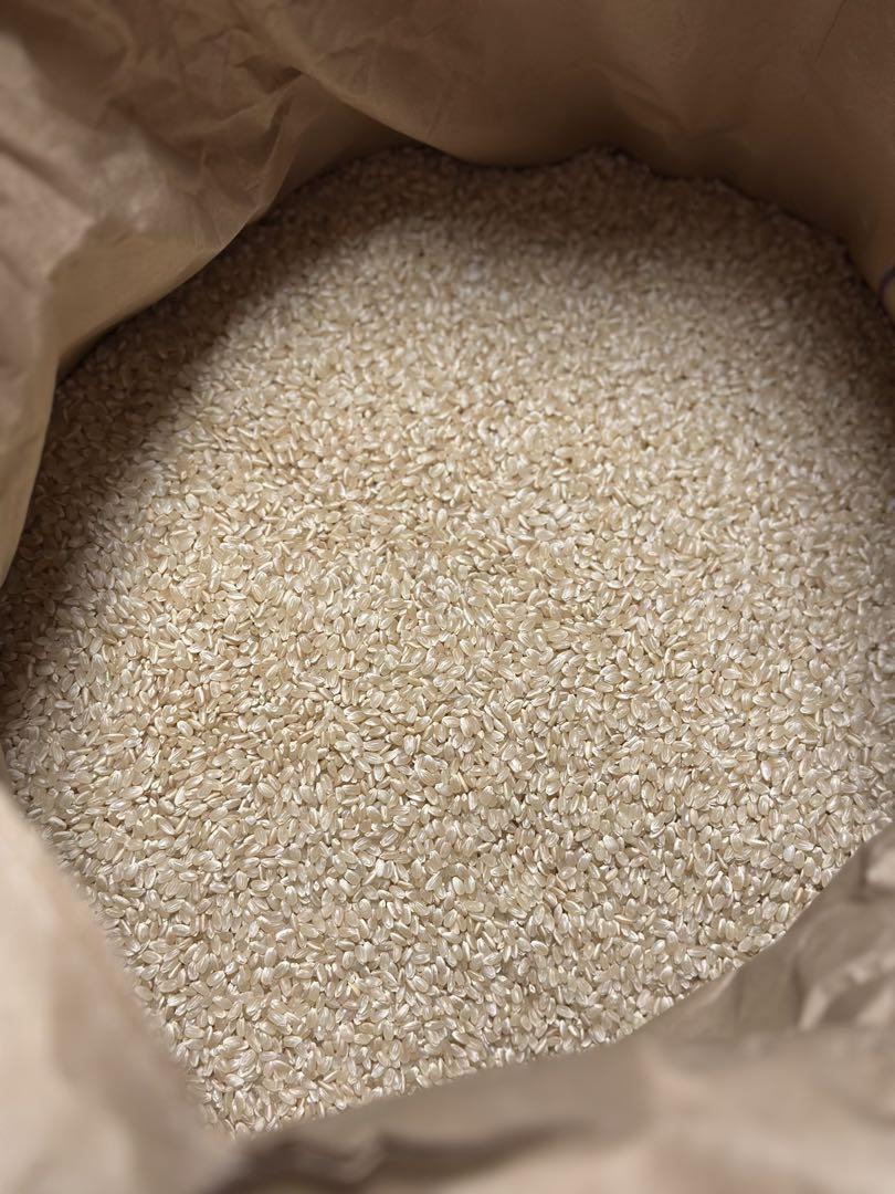茨城県 筑波北条米 コシヒカリ 玄米10kg