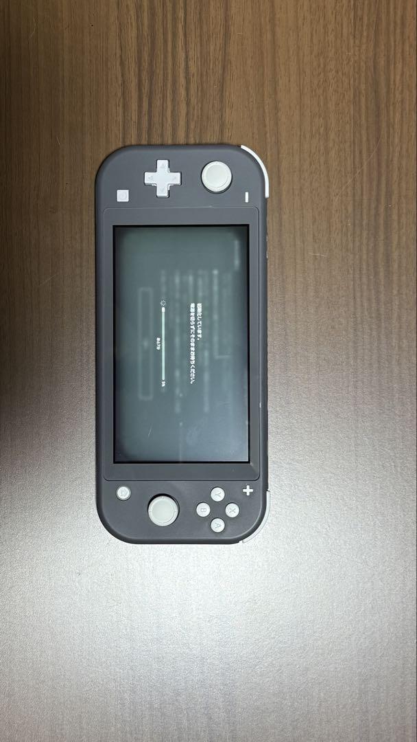 Switch ライト　グレー　美品